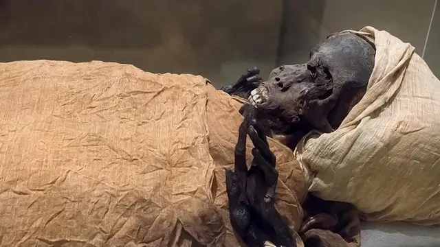Ilmuwan Ungkap Aroma Mumi Mesir Kuno