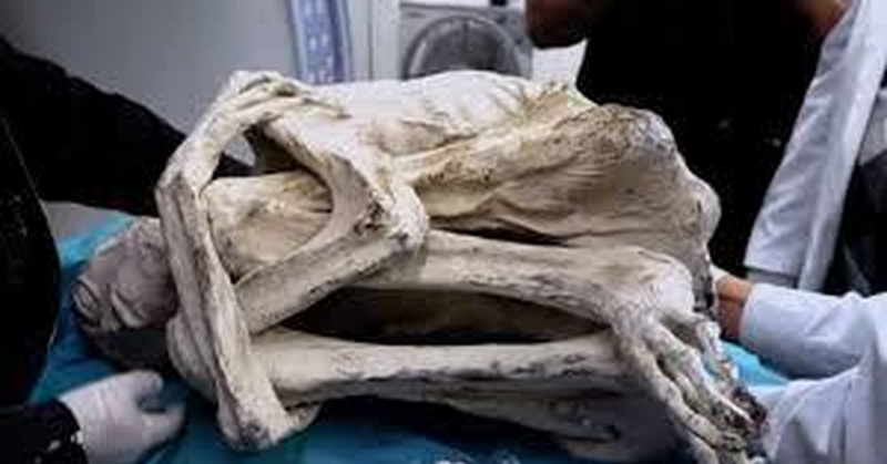 ‘Mumi Alien’ di Kuburan Massal Miliki DNA dari Manusia
