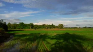 Praktik Pesugihan di Balik Rumah Mungil Berkelambu Merah