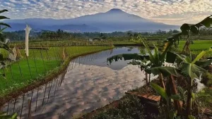 Tempat Bersemayam Makhluk Gaib hingga Pesugihan