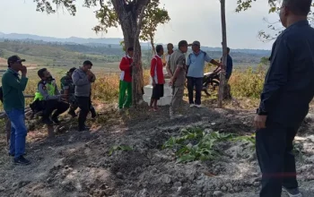 Makam Pesugihan di Bojonegoro Dibongkar Warga