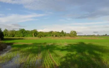 Jejak Praktik Pesugihan dalam Sebuah Rumah Mungil