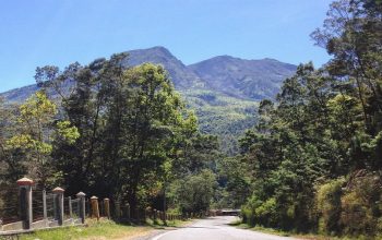 Tempat Pesugihan Terpopuler di Indonesia