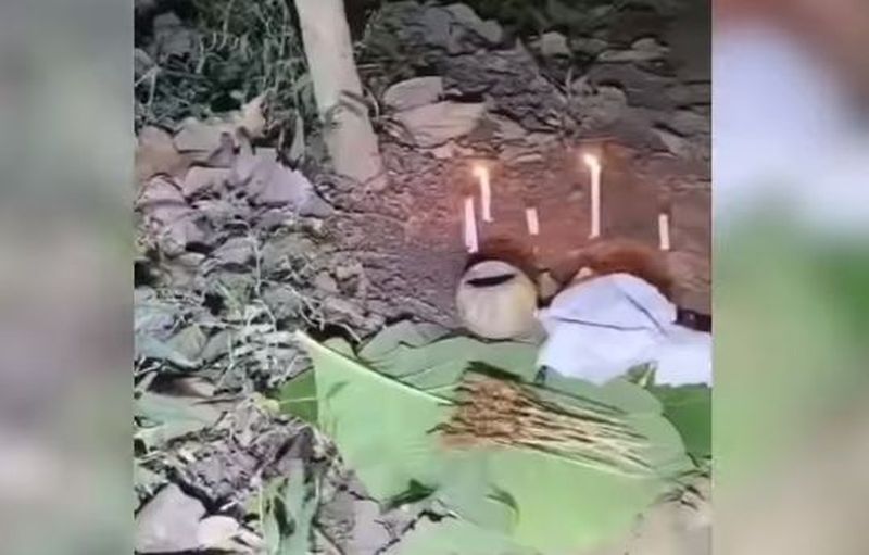 Pesugihan Jualan Sate Gagak di Hutan