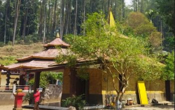 Pohon Dewandaru Jadi Awal Mula Mitos